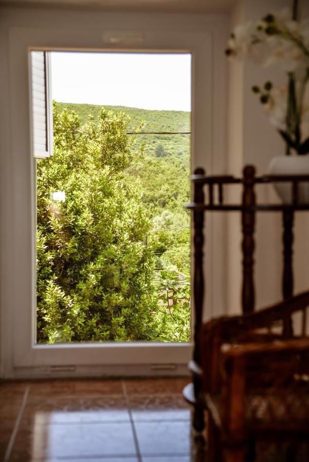Apartment Nikola Kotor Luaran gambar