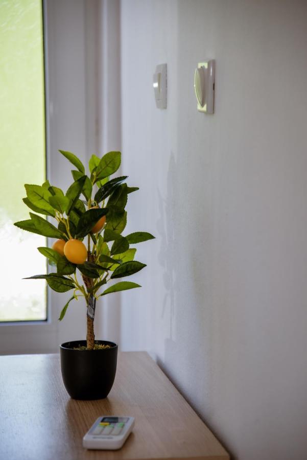 Apartment Nikola Kotor Luaran gambar